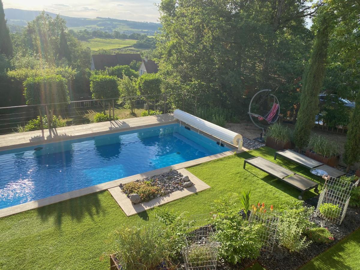 La Ronde Des Bois - Romance Et Bien Etre - Jacuzzi Privatif-Piscine-Patio Mellecey 외부 사진